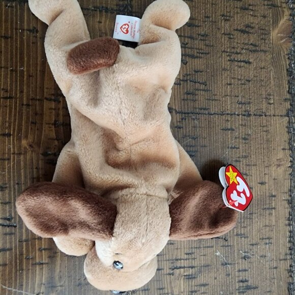 TY Beanie Baby "Bones" the Dog with both Hang/Swing and Tush Tags - Picture 2 of 10